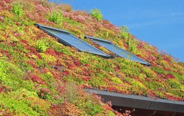 Park Langley living roof systems