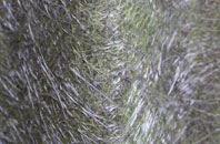 Park Langley fibreglass roof work